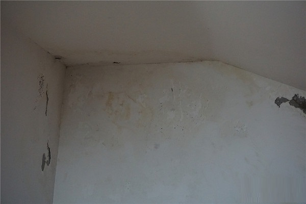 老婆偏要在客厅装台*湿机除**，装完才发现，居然有这么多好处！