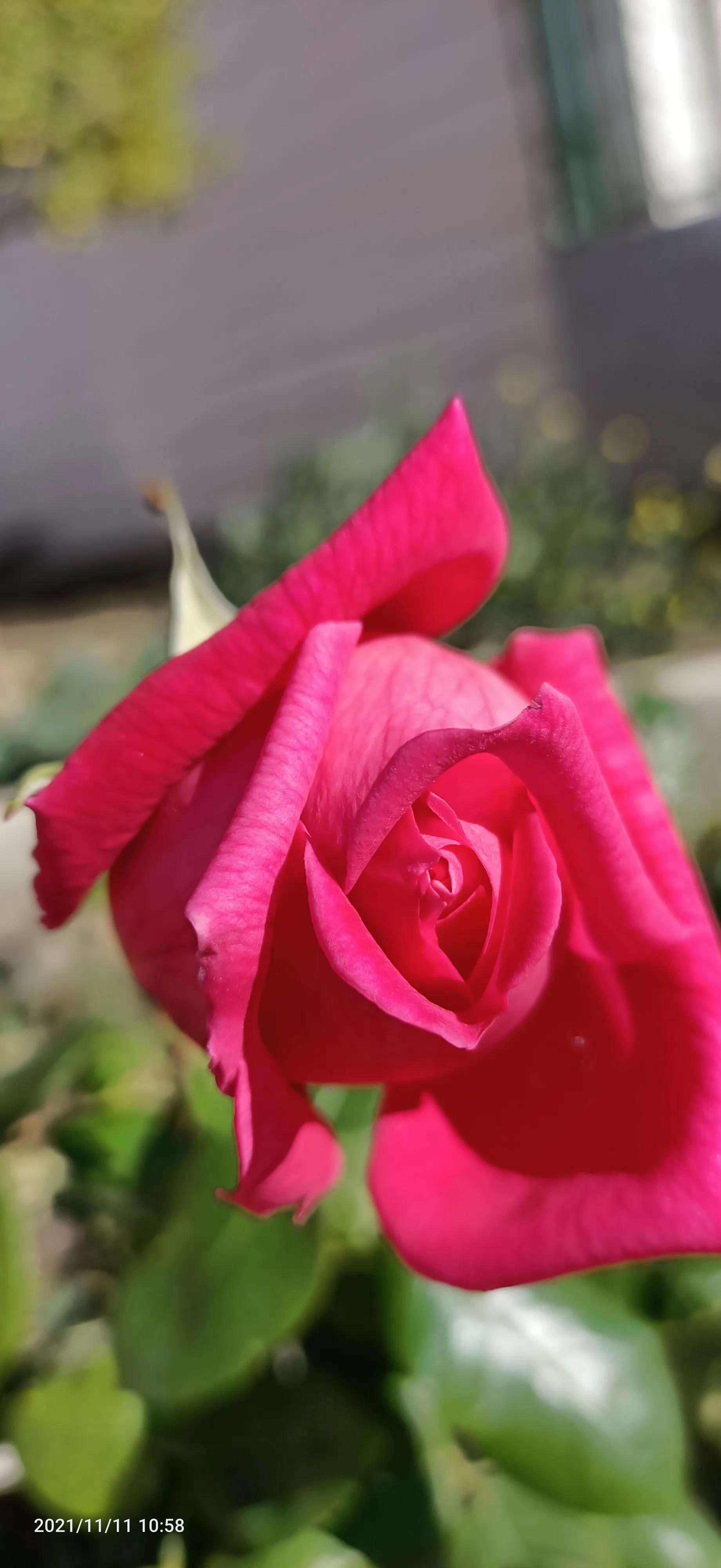 达则兼济天下穷则独善其身,达则兼济天下穷则独善其身素材