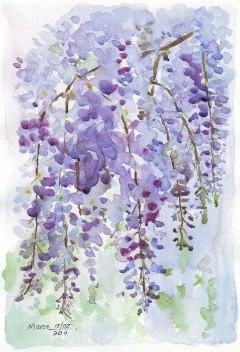 日本花图鉴｜带你去那花花世界