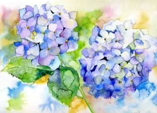 日本花图鉴｜带你去那花花世界