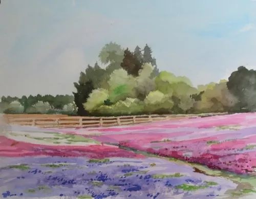 日本花图鉴｜带你去那花花世界