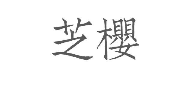 日本花图鉴｜带你去那花花世界