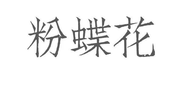 日本花图鉴｜带你去那花花世界