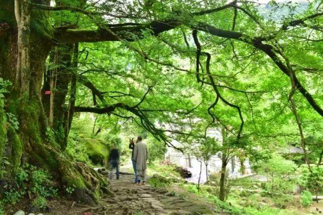 十大艳遇古镇,年轻人最喜欢旅游的十大城市