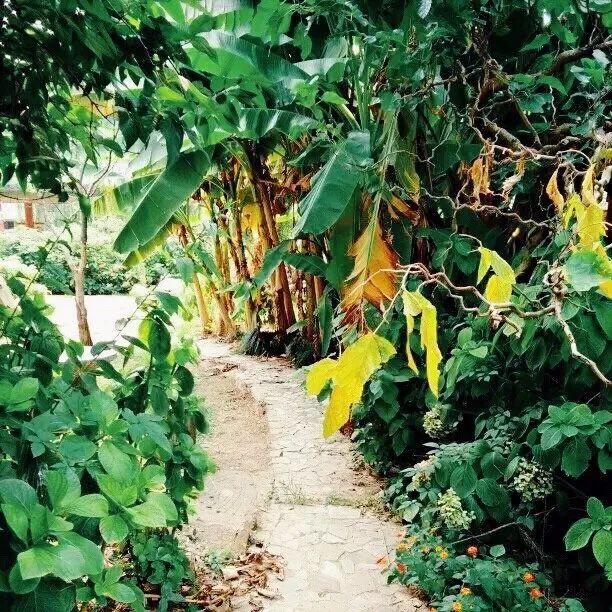 姝︽眽闈掑北鍝釜灏忓尯瀵瑰彛姝﹂挗涓変腑,姝︽眽闈掑北鍝釜灏忓瀵瑰彛姝﹂挗涓変腑