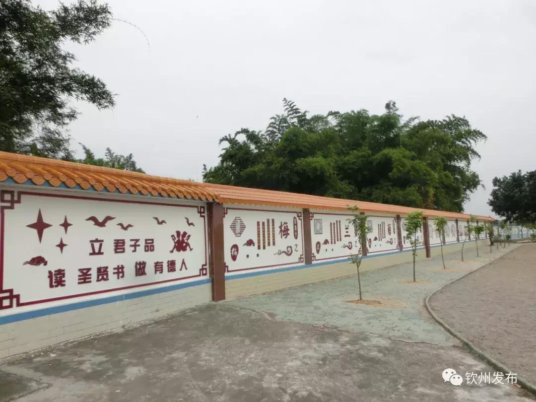 网眼看视界,网眼看钦南