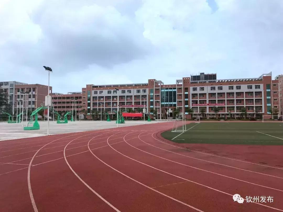 网眼看视界,网眼看钦南