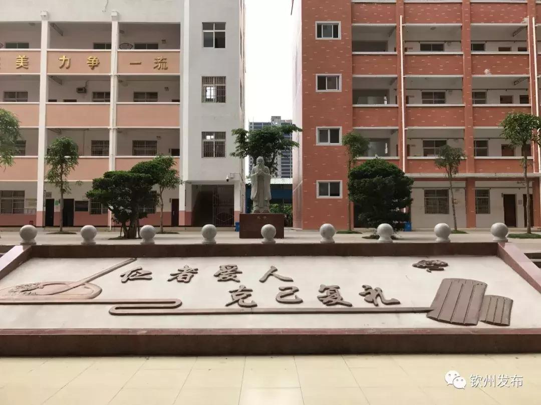 网眼看视界,网眼看钦南