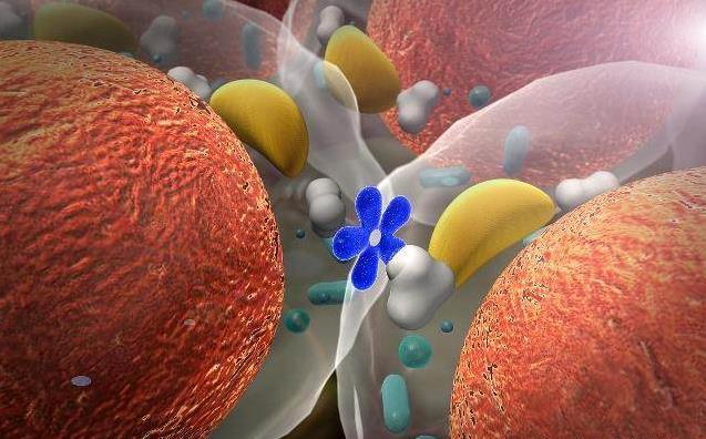 孕早期孕酮低可以吃地屈孕酮片吗,孕早期孕酮低是什么原因怎么补救