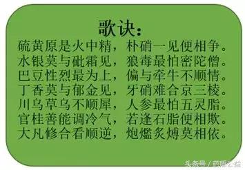 药食同源保健茶,药食同源四季养生茶