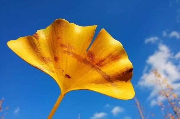 凯悦家居,凯悦家居装修视频