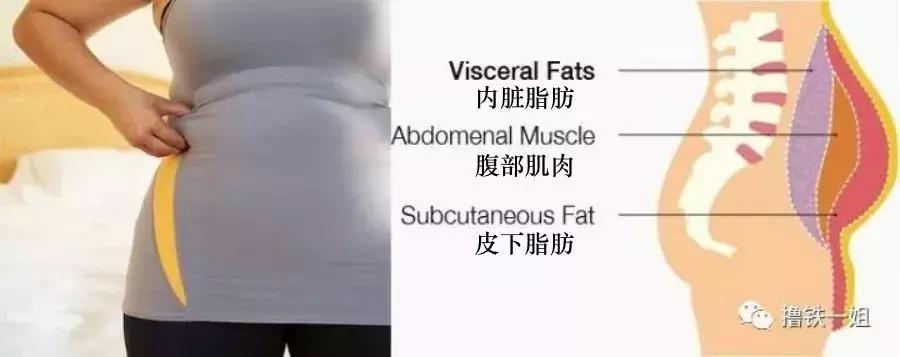 金泰妍露腹肌,金泰妍露腹