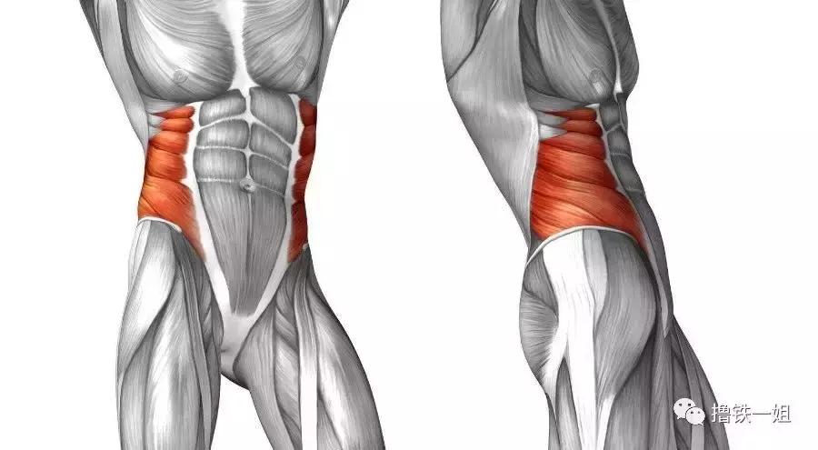 金泰妍露腹肌,金泰妍露腹