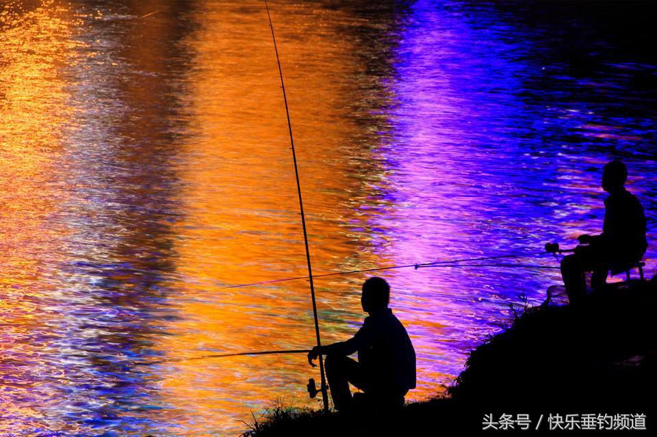 初夏夜钓钓法视频,初夏夜钓怎么玩