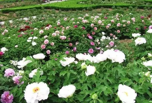 西安小众旅游,西安小众避暑胜地