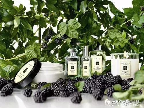 花气袭人知昼暖全诗朗读,花气袭人知昼暖下一句