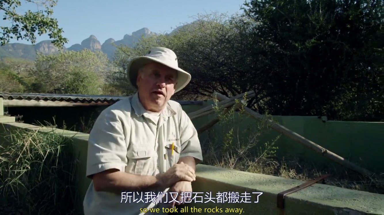 来自非洲的平头哥(蜜獾),一个要开挂的动物!