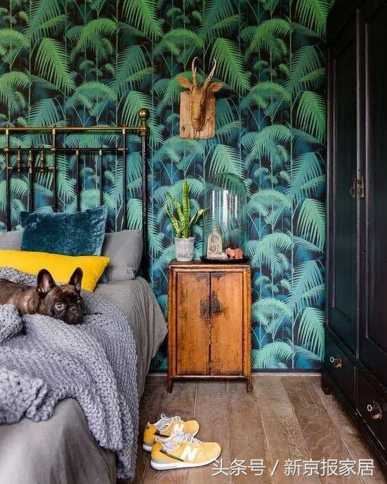 植物花卉墙绘简单又漂亮,有意思的简单墙绘