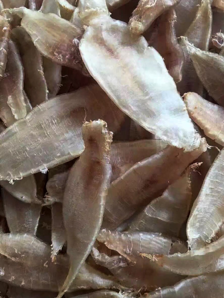 花胶小常识,花胶是不是愈久愈好