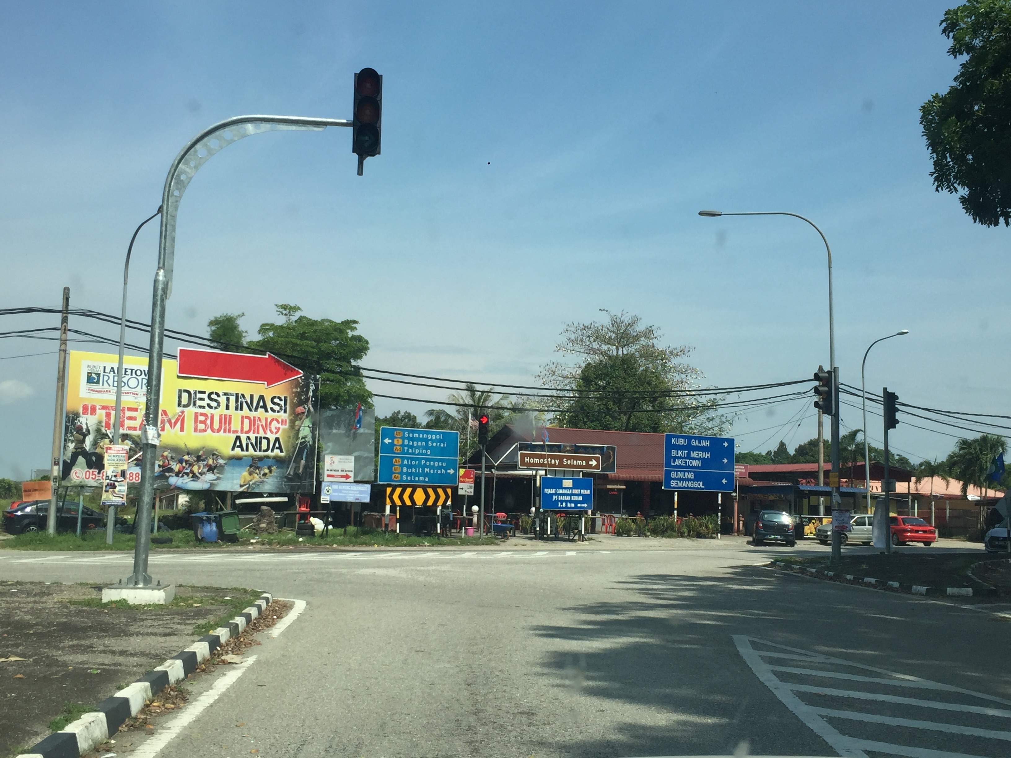 过背金龙是什么意思,过背金龙和高背金龙的区别