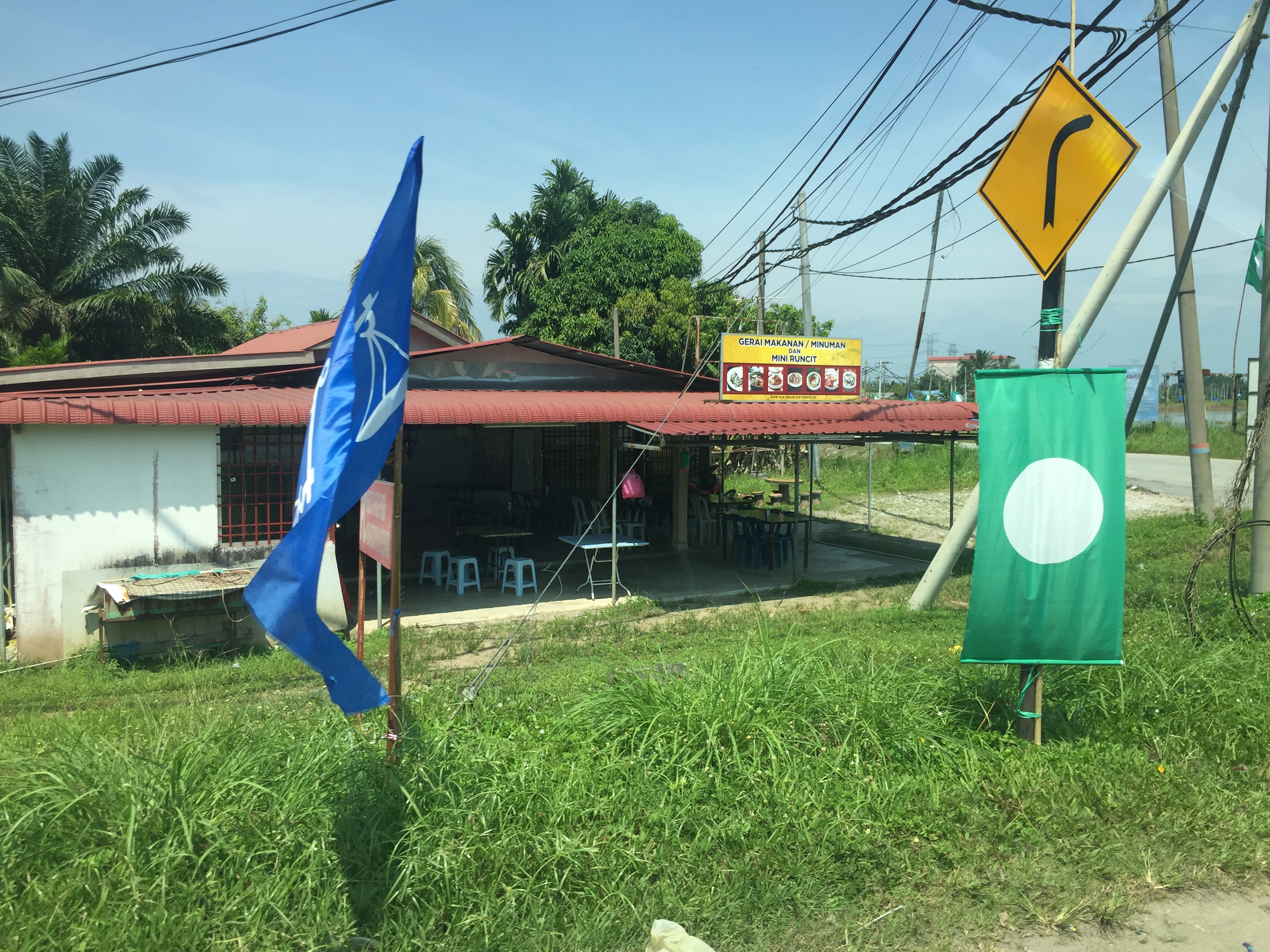 过背金龙是什么意思,过背金龙和高背金龙的区别