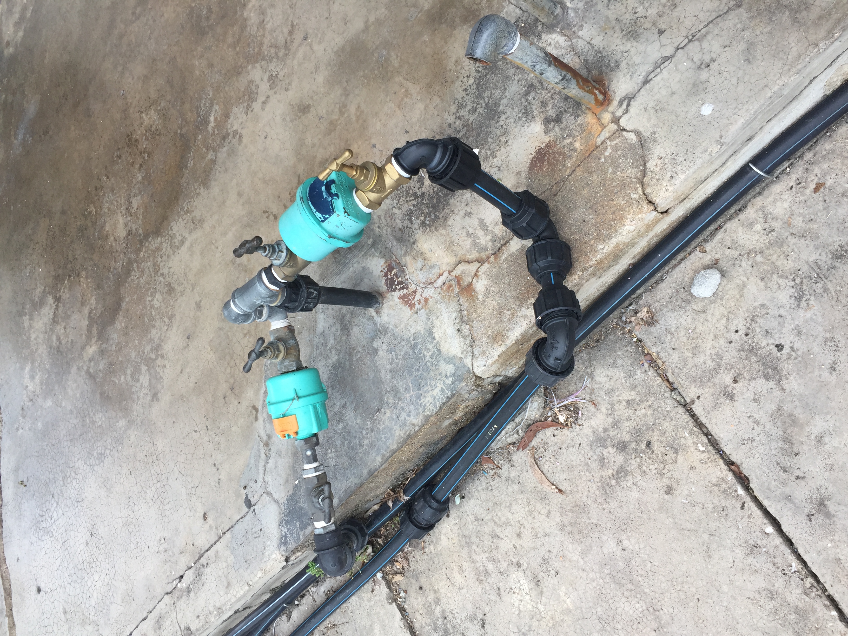 过背金龙是什么意思,过背金龙和高背金龙的区别