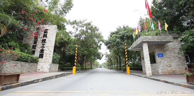 深圳驾考的注意要点,深圳驾照考试一共几个考场坑不坑