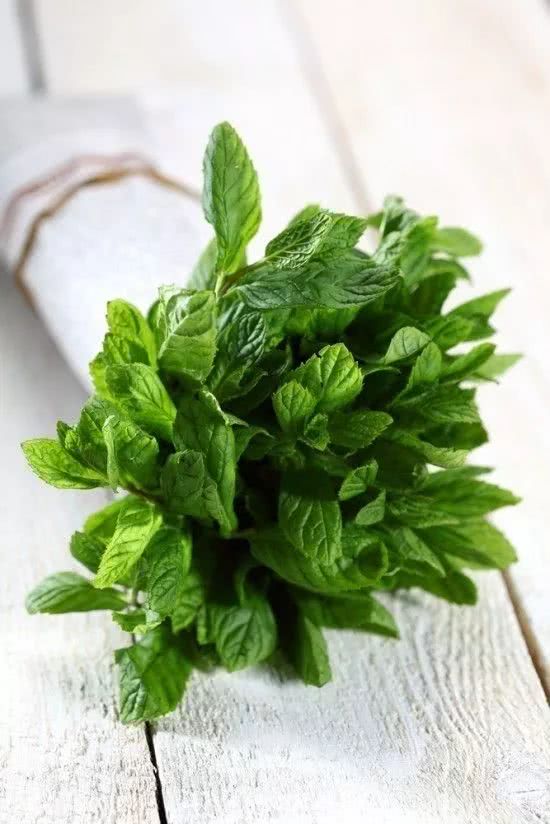 阳台盆栽香料,在家种什么香料好吃又实惠