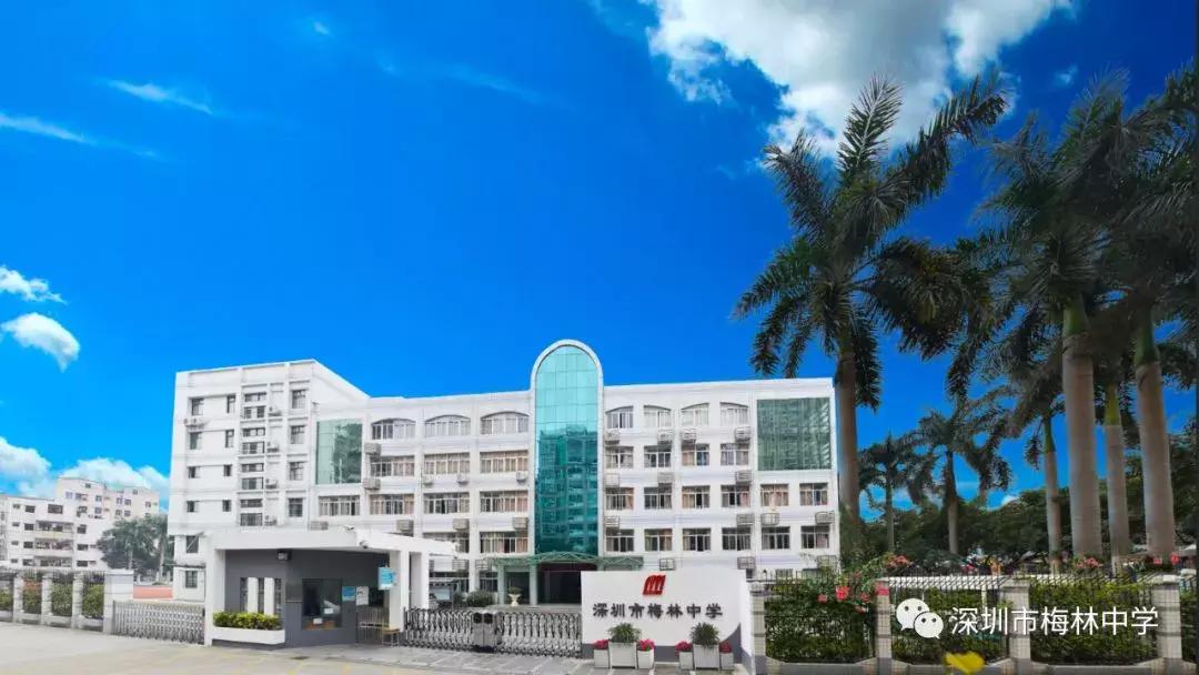广东深圳十大最好的学校,厉害了深圳