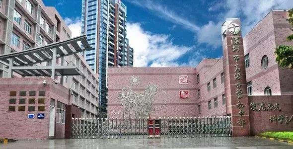 广东深圳十大最好的学校,厉害了深圳