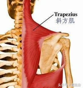 颈椎病怎么预防和恢复,得了颈椎病怎么治疗和预防