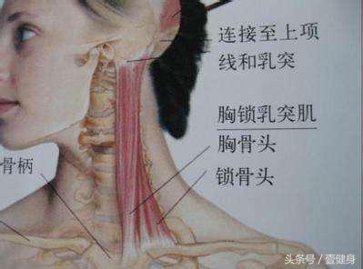 颈椎病怎么预防和恢复,得了颈椎病怎么治疗和预防