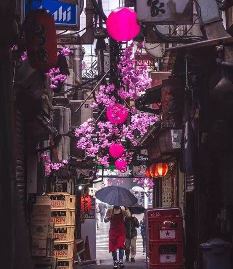 不会英语还想去美国,不会英语出国玩去哪