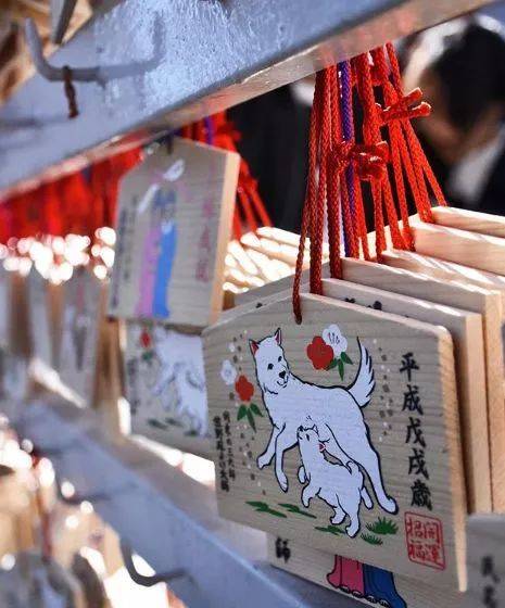 不会英语还想去美国,不会英语出国玩去哪