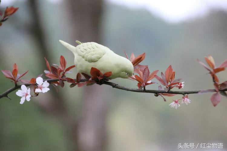 走在暮春，风还是香甜