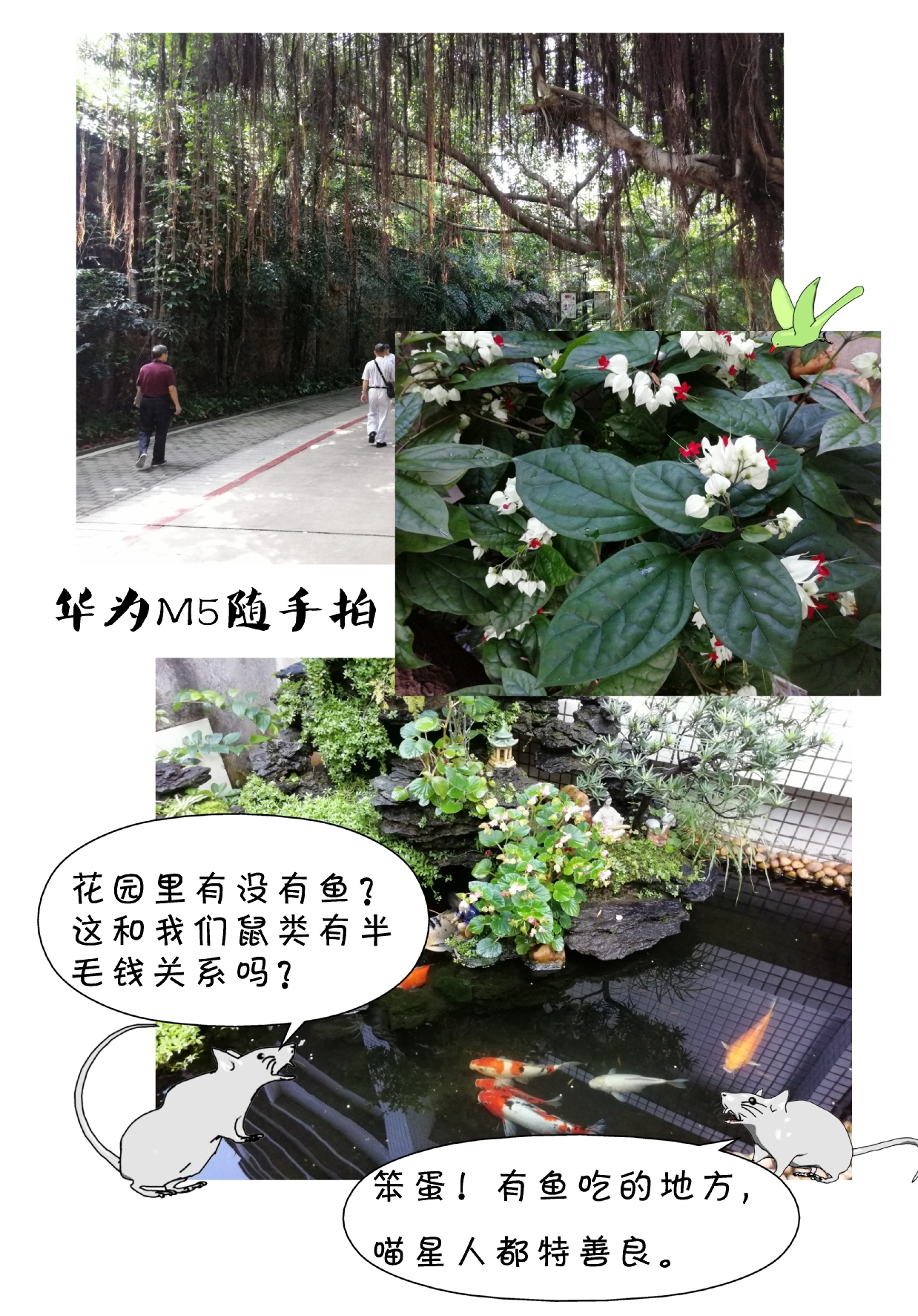 华为m5青春版8英寸平板怎么样,华为m58.4英寸平板测评