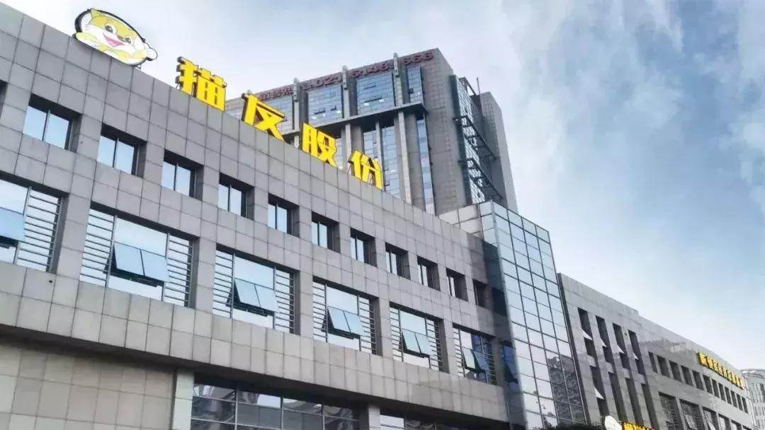 从500块到5个亿——懒猫社长创始人杨迎宾的“猫友江湖”