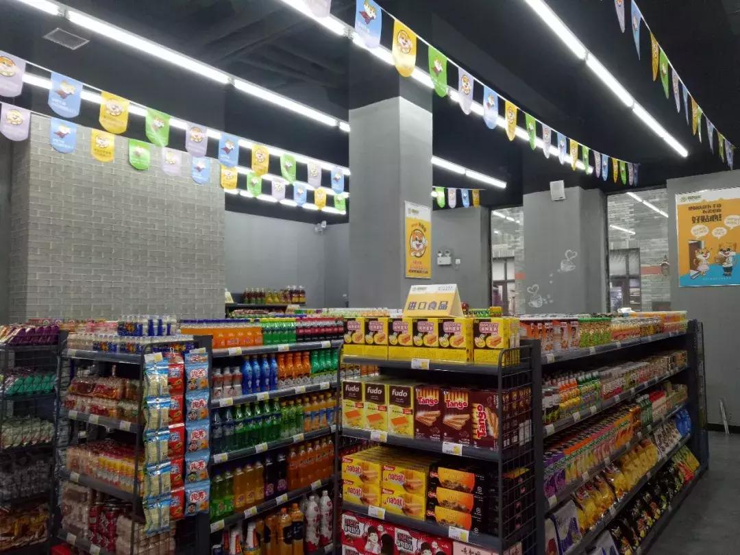 从500块到5个亿——懒猫社长创始人杨迎宾的“猫友江湖”