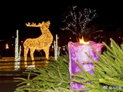 匈牙利多瑙新城大学——留学条件