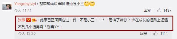 刘雨欣回应张檬道歉视频,刘雨欣回应张檬视频