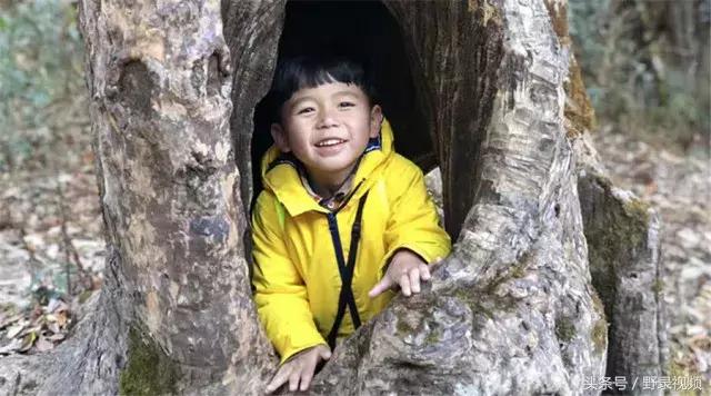 父子徒步登山,父子徒步旅行记