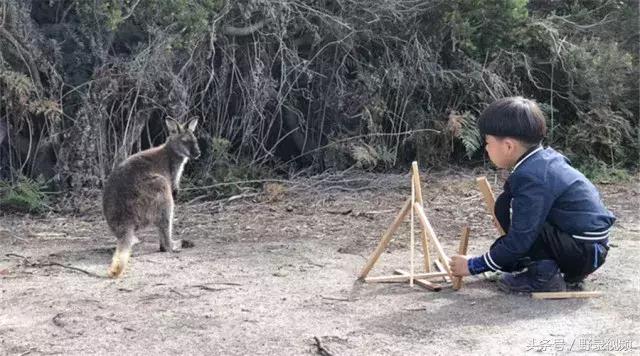 父子徒步登山,父子徒步旅行记