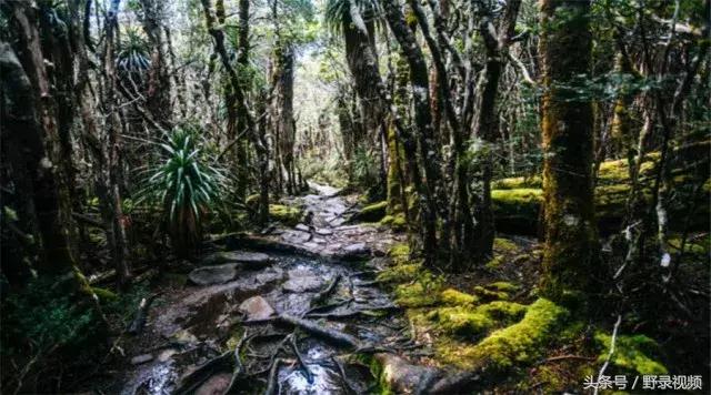 父子徒步登山,父子徒步旅行记