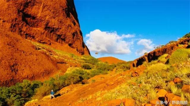 父子徒步登山,父子徒步旅行记