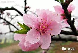 原创系列诗词,原创诗词五绝