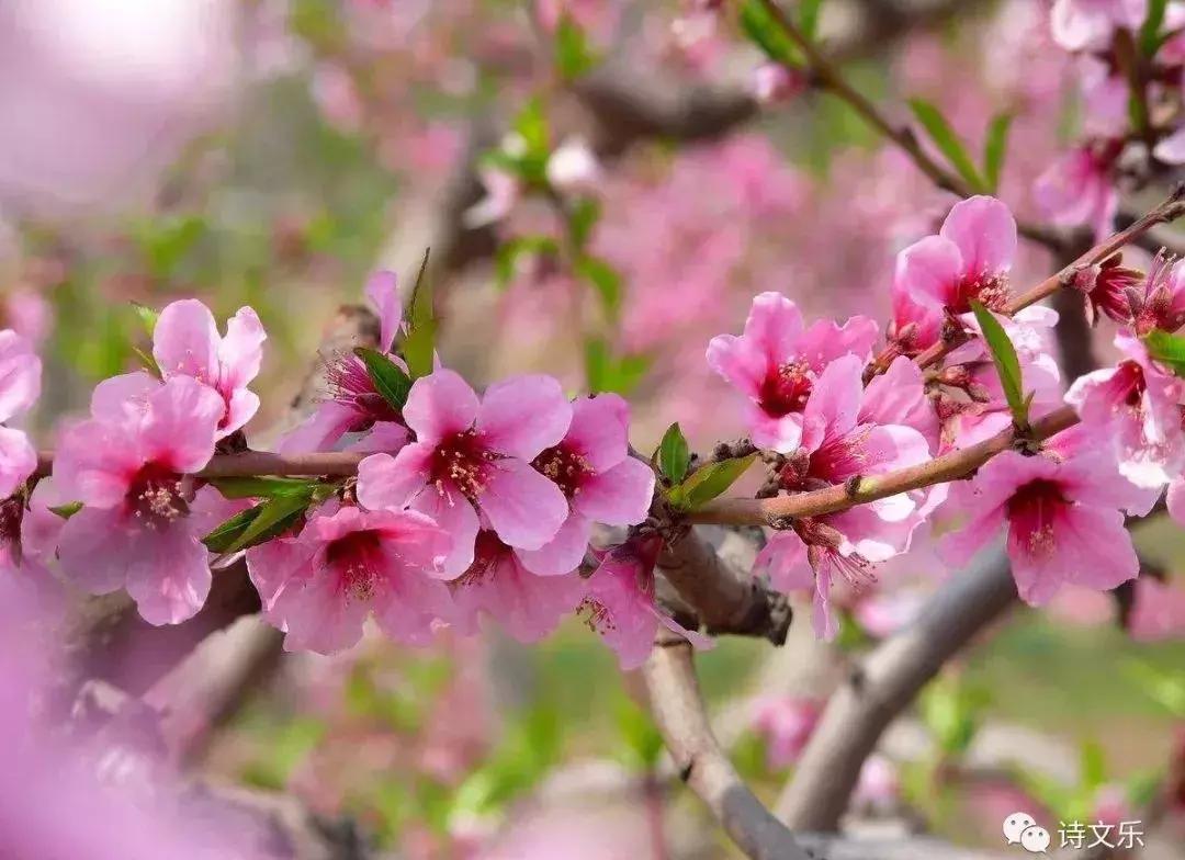 原创系列诗词,原创诗词五绝