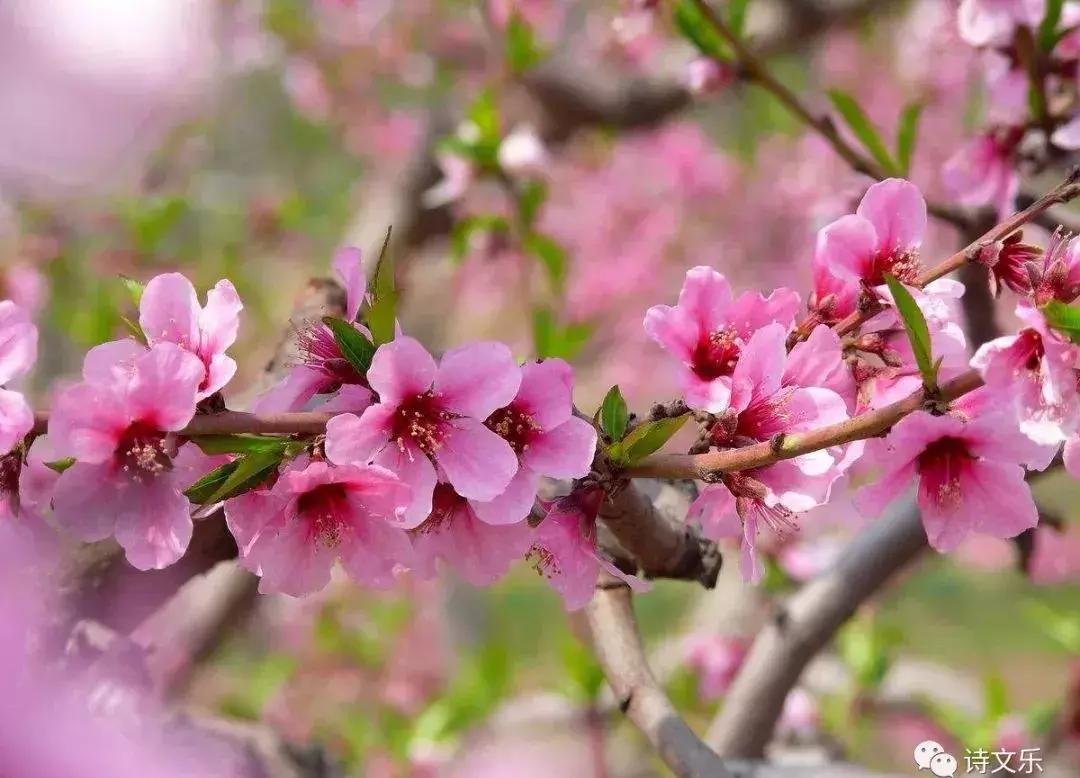 原创系列诗词,原创诗词五绝