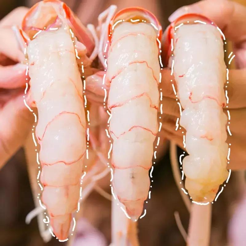 上海米其林一星日料,东京日料米其林一星