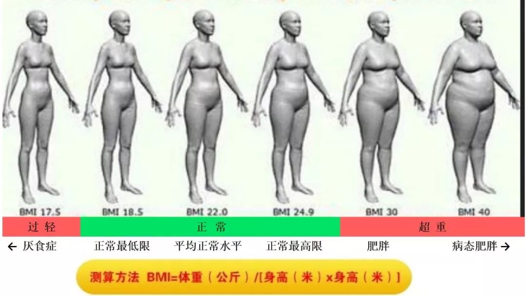 排油减肥的药是真的吗,刮油药奥利司他