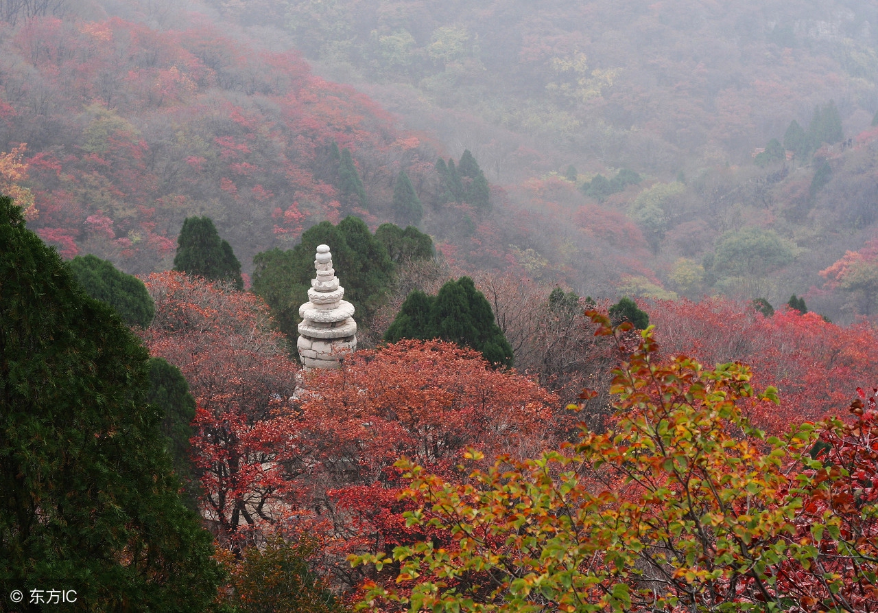 临朐土话有什么说法,中国临朐土话